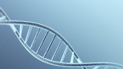 Fokus - Kurse zur Genetik und Transgenen Techniken